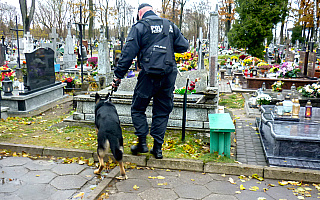 Sąd aresztował podejrzanego o kradzież szczątków. Złodziej zwłok od wielu lat bezcześcił  groby w Gdańsku oraz na Warmii i Mazurach